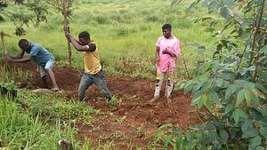 Elvekas Organic Farm