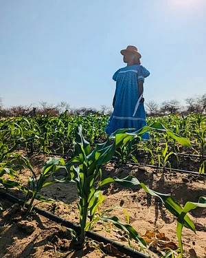Agroecology Institute of Namibia