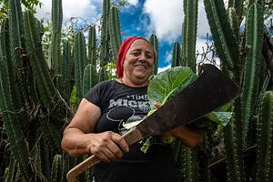 Centro Sabiá - Centro de Desenvolvimento Agroecológico Sabiá