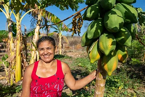 Centro Sabiá - Centro de Desenvolvimento Agroecológico Sabiá