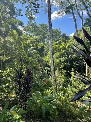 Maya Mountain Research Farm