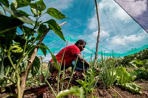Centro Sabiá - Centro de Desenvolvimento Agroecológico Sabiá