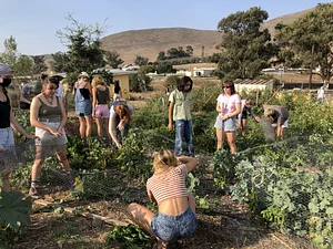 Garden Club 1