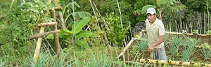 Huerta Instituto Superior Multiversidad Popular 1