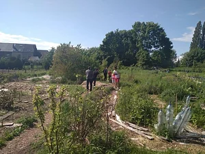 Collective Garden Project