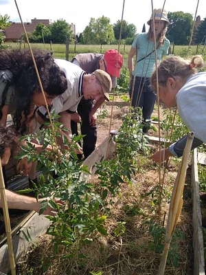 Collective Garden Project