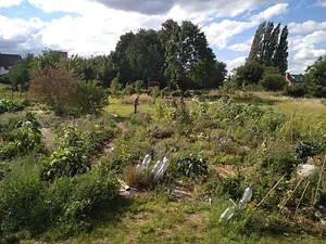 Collective Garden Project