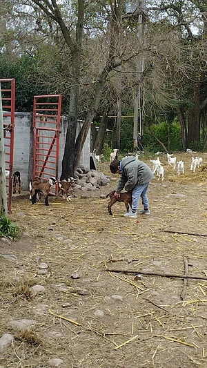 Finca La Huella