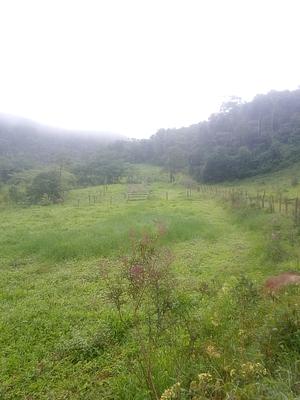 Sítio da Neblina
