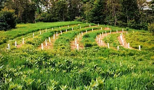 Foxgreen Farmstand