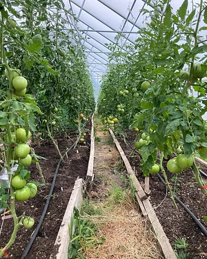 Foxgreen Farmstand