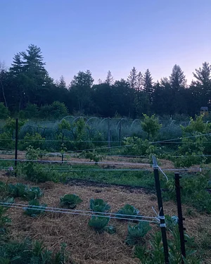 Foxgreen Farmstand