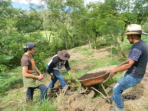 Las Cañadas - Bosque de Niebl