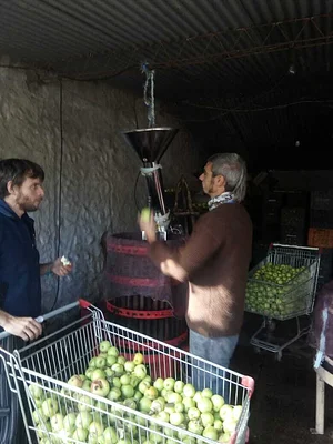 Jugos agroecologicos
