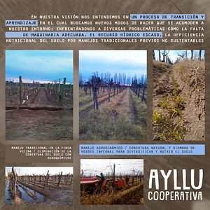 manejo agroeco1