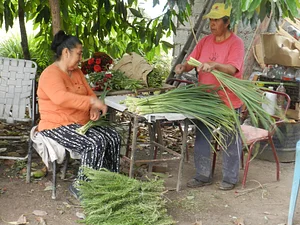 Finca El Pongo