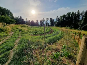 Morgarot Permaculture Farm