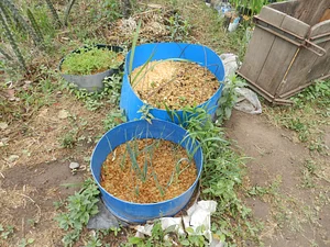 Huerta Agroecológica