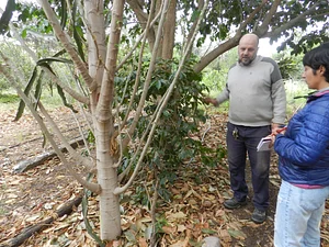 Huerta Agroecológica