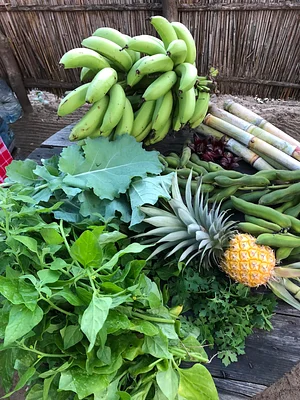 Tchambalakate Eco Lodge