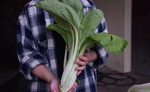 Podbukovc Organic & Permaculture Farm