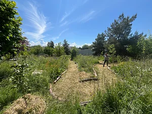 Jardin-forêt des Morettes
