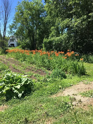 Foxgreen Farmstand