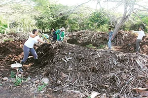 CLUB DEL CULTIVO