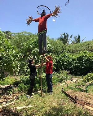 CLUB DEL CULTIVO