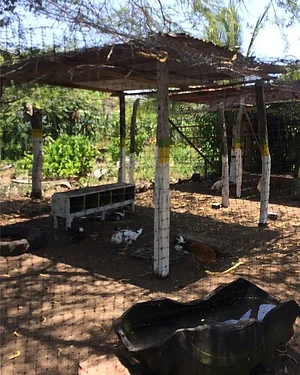 CLUB DEL CULTIVO