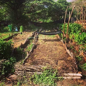 CLUB DEL CULTIVO