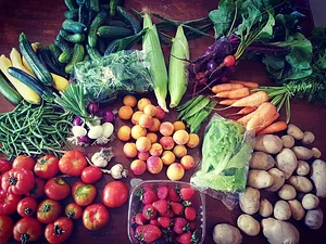 Permaculture at The Food Farm