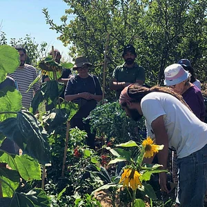 Shams Permaculture