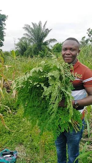 EarthCare Permaculture Ghana