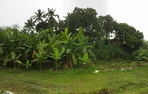 Eco-villages
