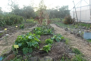 Petrera Permaculture Land