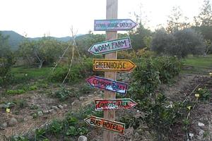 Petrera Permaculture Land