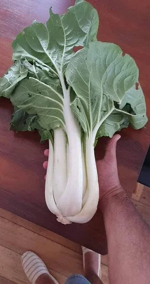 La Ferme Permacole