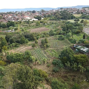 Green Connect Farm