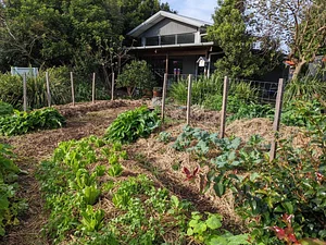 Green Connect Farm