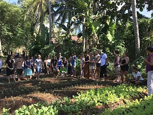 The Kul Kul Farm