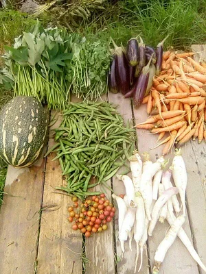 La Ferme Permacole