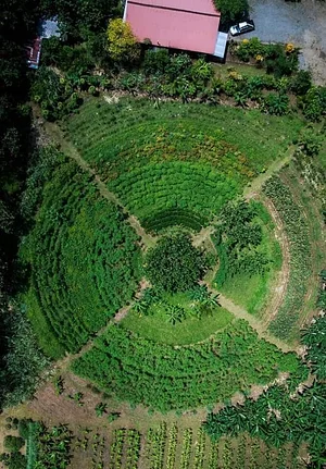 Finca Agroecologica Vivencias Campesinas​