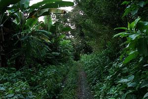 El Retiro Finca Agroecológica