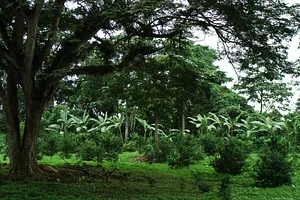 El Retiro Finca Agroecológica