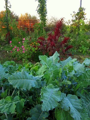 La Ferme de Sourrou