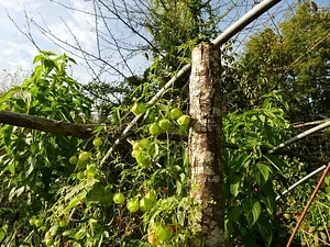 La Ferme de Sourrou