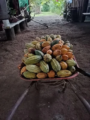 Finca Agroecologica Vivencias Campesinas​
