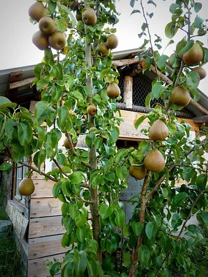 La Ferme de Sourrou