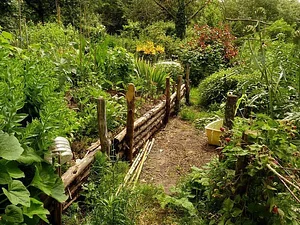 La Ferme de Sourrou
